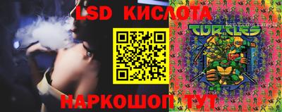 амф Канаш
