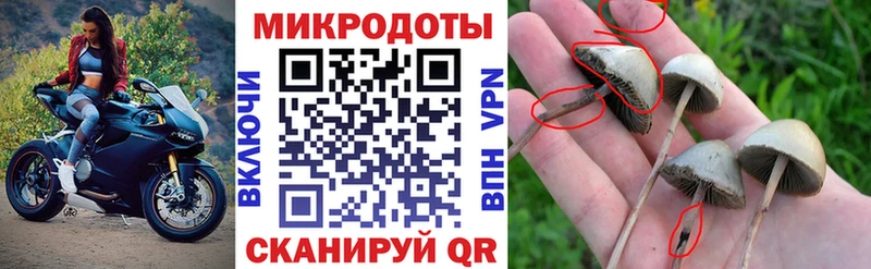 Галлюциногенные грибы мухоморы  дарнет шоп  Шадринск 