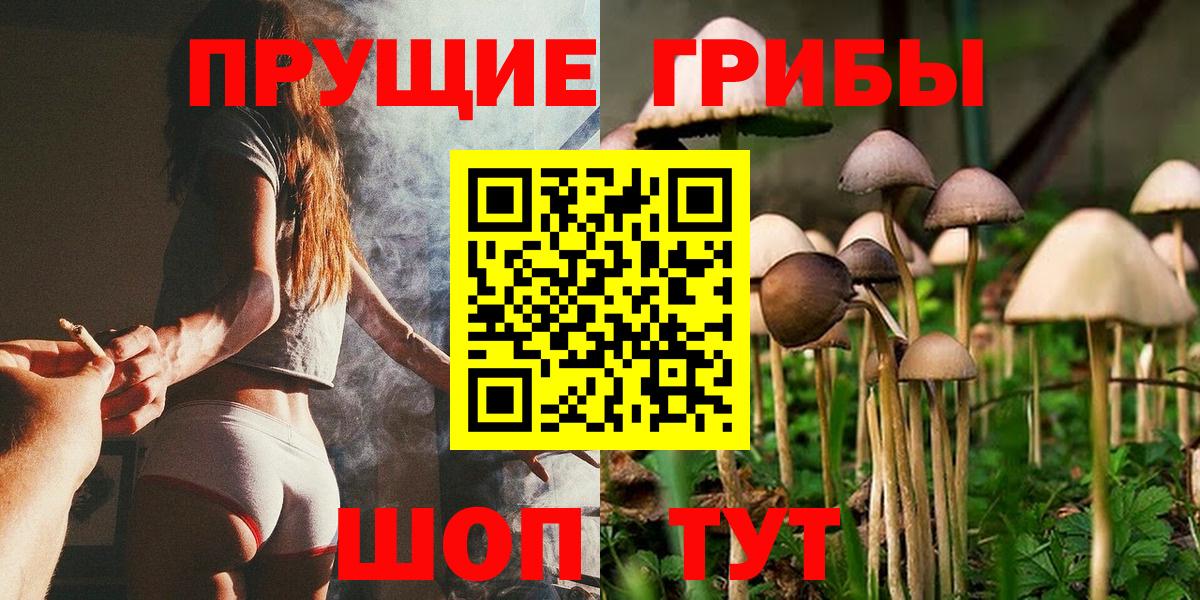 Псилоцибиновые грибы Cubensis  Вход с VPN  Шадринск  Псилоцибиновые грибы Psilocybe 