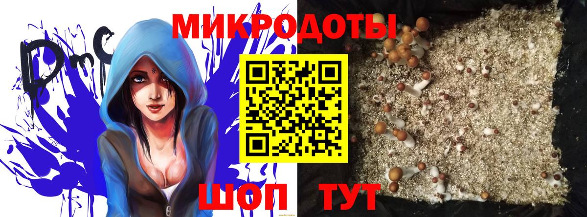Галлюциногенные грибы Psilocybine cubensis  Галлюциногенные грибы GOLDEN TEACHER  Шадринск 